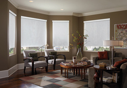 Image of roller shades